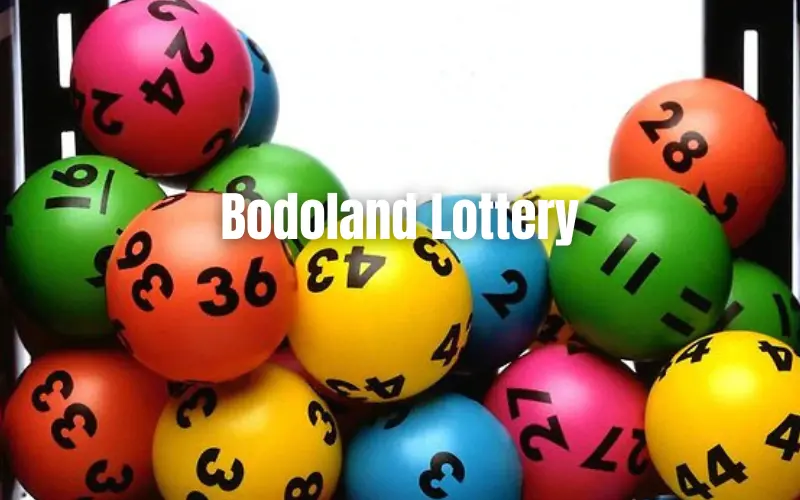 bodoland lottery result